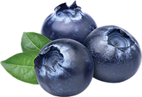 Blueberry