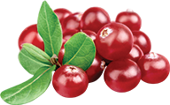 Cranberries