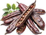 Carob