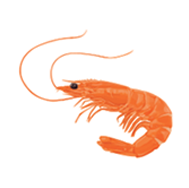 Krill